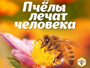 Пчелы лечат человека